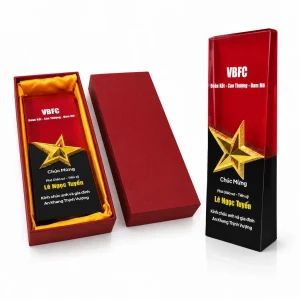 vbfc_trophy_box_under_100kb-ky-niem-chuong
